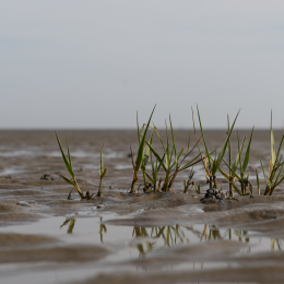 Helgoland_20170615_002