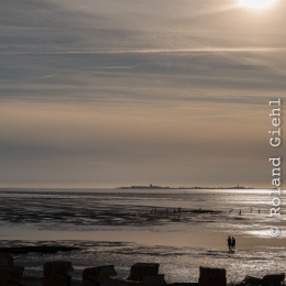 Helgoland_20170614_024