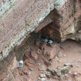 Helgoland_20170612_001