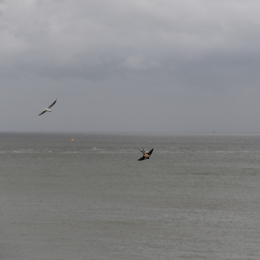Helgoland_20170607_005