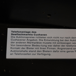 Helgoland_20170607_018