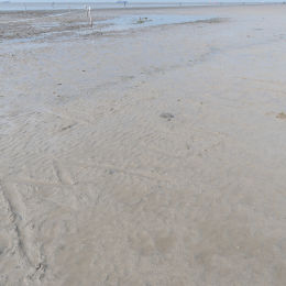 Helgoland_20170606_006