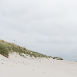 Helgoland_20170613_024