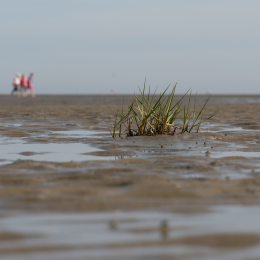 Helgoland_20170615_001