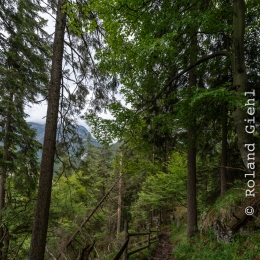 Urlaub_2018_Tirol_20180524_025