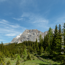 Urlaub_2018_Tirol_20180528_005