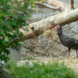 Urlaub_2018_Tirol_20180527_005