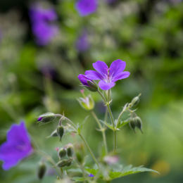 Urlaub_Tirol_2019_20190616_0194