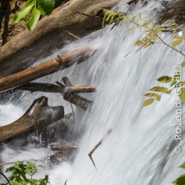 Urlaub_Tirol_2019_20190625_0711