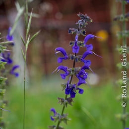 Urlaub_Tirol_2019_20190616_0189