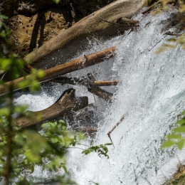 Urlaub_Tirol_2019_20190625_0717