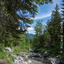 Urlaub_Tirol_2019_20190621_0478