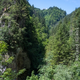 Urlaub_Tirol_2019_20190625_0692