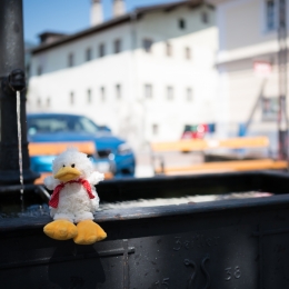 Urlaub_Tirol_2019_20190628_1169