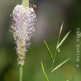 Urlaub_Tirol_2019_20190629_1236