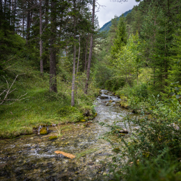 Urlaub-2020-Tirol_20200902_0026