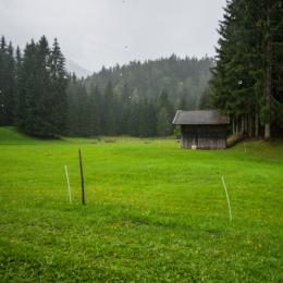 Urlaub-2020-Tirol_20200902_0033