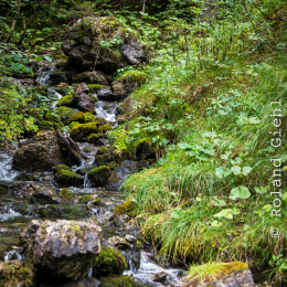 Urlaub-2020-Tirol_20200902_0029