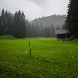 Urlaub-2020-Tirol_20200902_0032
