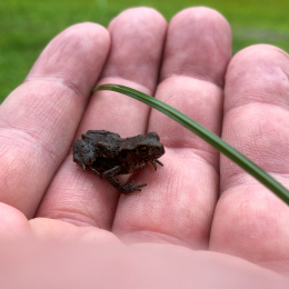 Urlaub-2020-Tirol_20200902_0034