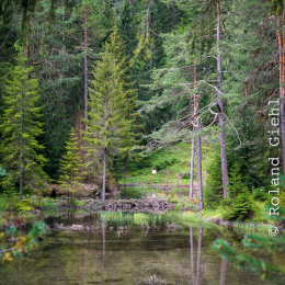 Urlaub-2020-Tirol_20200902_0027