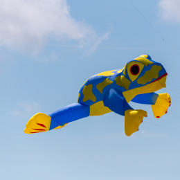 Urlaub_2022_Romo_Tag_11_004_20220615