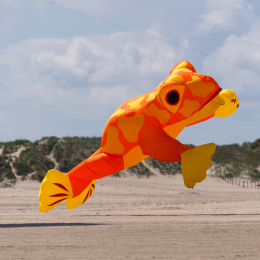 Urlaub_2022_Romo_Tag_11_003_20220615