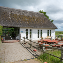 Urlaub_2022_Romo_Tag_09_001_20220613