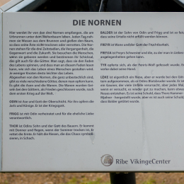 Urlaub_2022_Romo_Tag_03_004_20220607