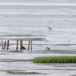 Urlaub_2022_Romo_Tag_09_024_20220613