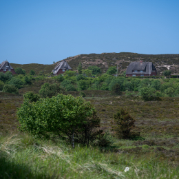 Urlaub_2022_Romo_Tag_07_018_20220611