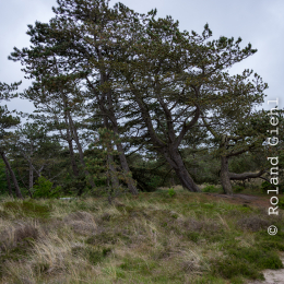 Urlaub_2022_Romo_Tag_05_010_20220609