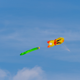 Urlaub_2022_Romo_Tag_11_018_20220615