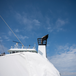 Urlaub_2022_Romo_Tag_07_004_20220611