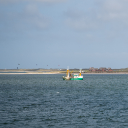 Urlaub_2022_Romo_Tag_07_011_20220611