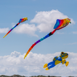 Urlaub_2022_Romo_Tag_11_002_20220615