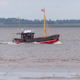 Urlaub_2022_Romo_Tag_09_021_20220613