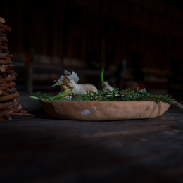 Urlaub_2022_Romo_Tag_03_012_20220607