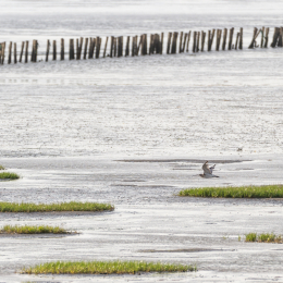 Urlaub_2022_Romo_Tag_09_025_20220613