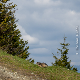 Urlaub-2023_099_20230527