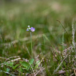 Urlaub-2023_023_20230521