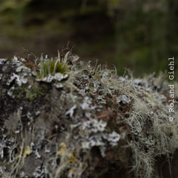 Urlaub-2023_021_20230521