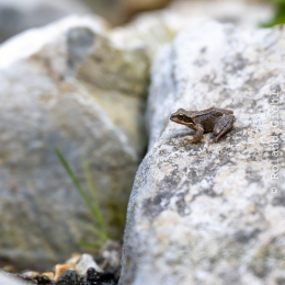 Urlaub-2023_044_20230522