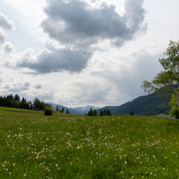 Urlaub-2023_122_20230529