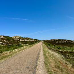 Sylt-2025_111_20250621