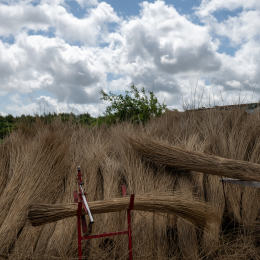 Sylt-2025_150_20250625