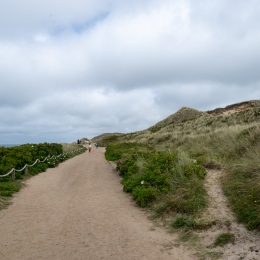 Sylt-2025_042_20250616