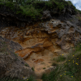 Sylt-2025_141_20250625