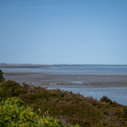 Sylt-2025_102_20250620