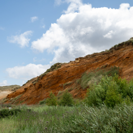 Sylt-2025_144_20250625